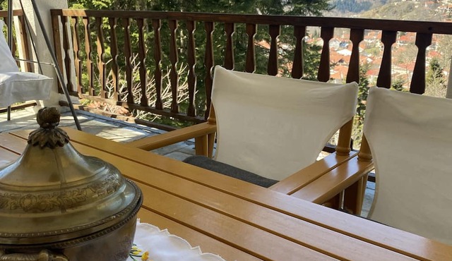 Family-friendly countryhouse with panoramic view of Elati and Pindos mountains. in Elati