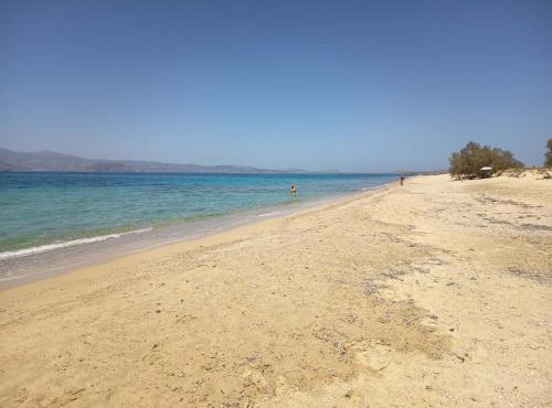 Terra Naxos
